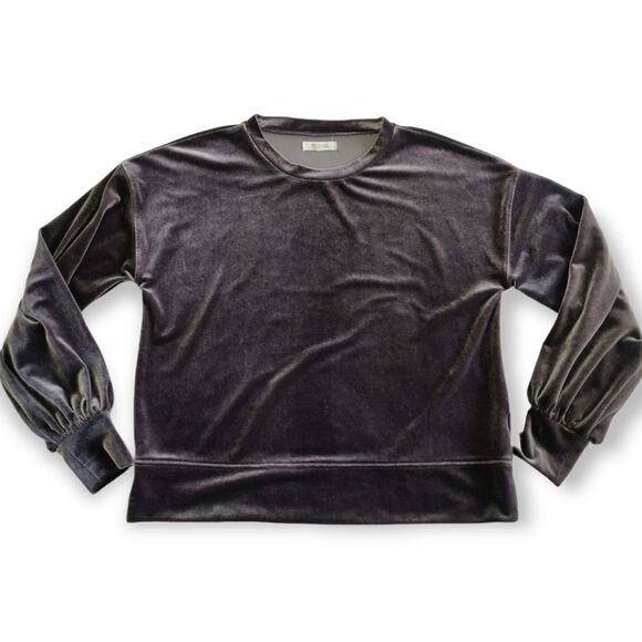 Madewell BROWN GRAY VELOUR VELVET LONG SLEEVE TOP SWEATSHIRT SHIRT S/M - Picture 2 of 8